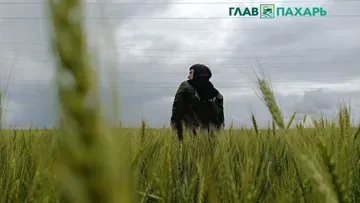 Дефицит кадров в АПК Тульской области находится в пределах 15%